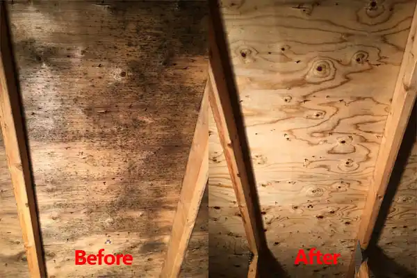 water damage restoration service Grand Coteau
